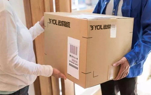 遠(yuǎn)成300特惠 大件電商配送省心之選