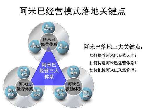 阿米巴經(jīng)營模式 企業(yè)管理的分權(quán)賦能之道與適用性考量